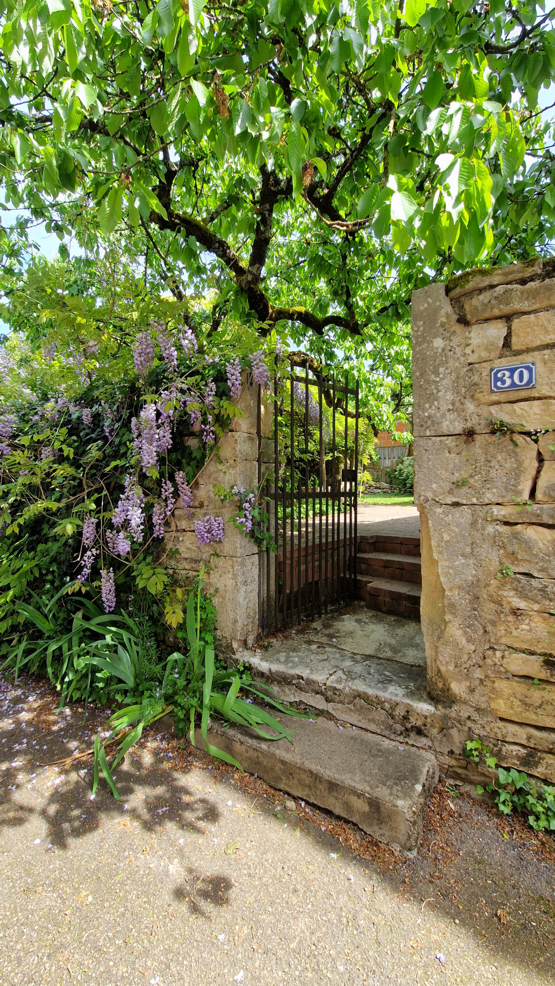 Bel ensemble immobilier au coeur de Santenay